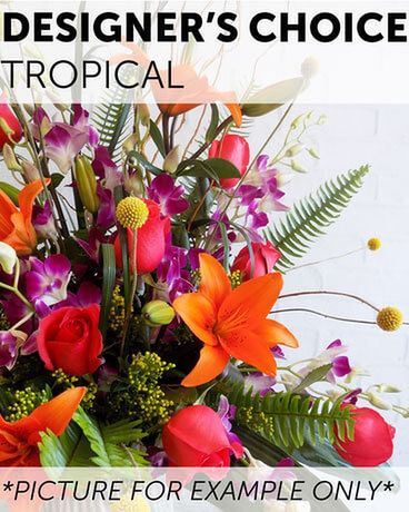 Designer's Choice - Tropical Flower Arrangement