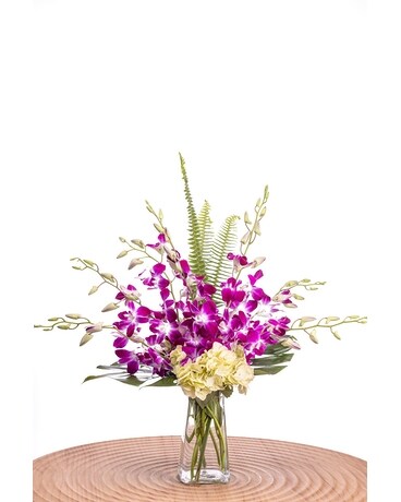 洋蘭 ORCHID FLOWERS Outgoing Orchids - Tampa, FL | Jennie's Flowers