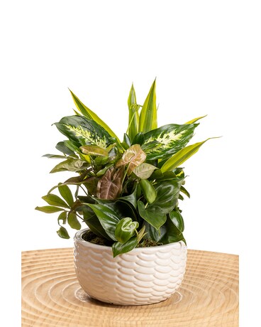 hanging railing planter boxes HFHOME 30