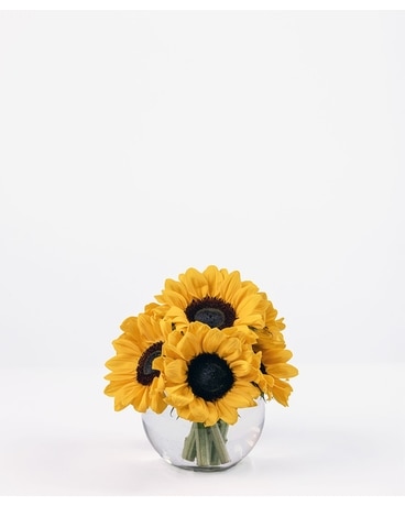 Get Well Flowers - Omaha, NE | Piccolo's Florist
