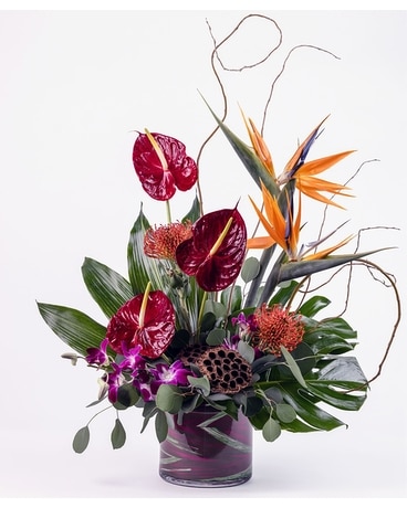 Paradise Flight - Naples, FL | Naples Flowers