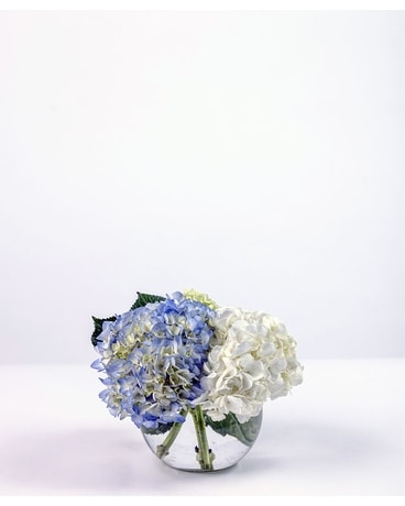 Get Well Flowers - Arlington Heights, IL | Sylvia's - Amling's Flowers