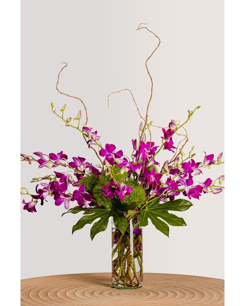 Flower ④⑯ wild-flower-pick-fuchsia-pink-