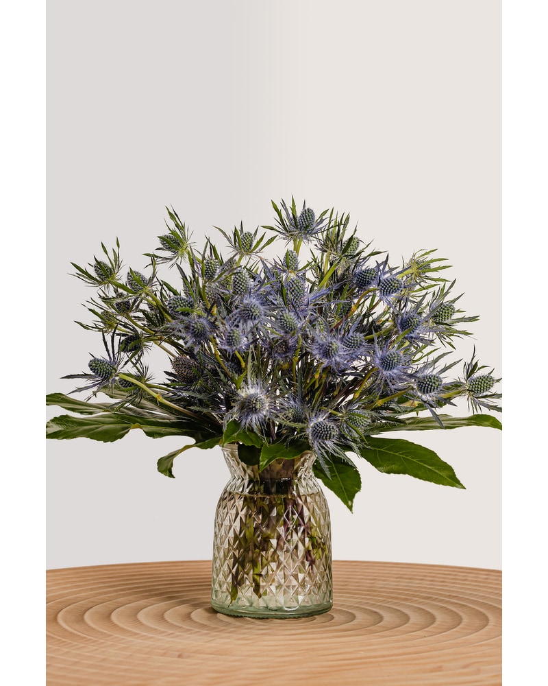 Thistle Do - Denver, CO | Lehrer's Flowers