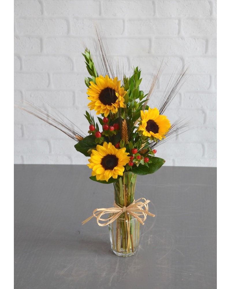 Outlet Vase of harvest sunflowers.