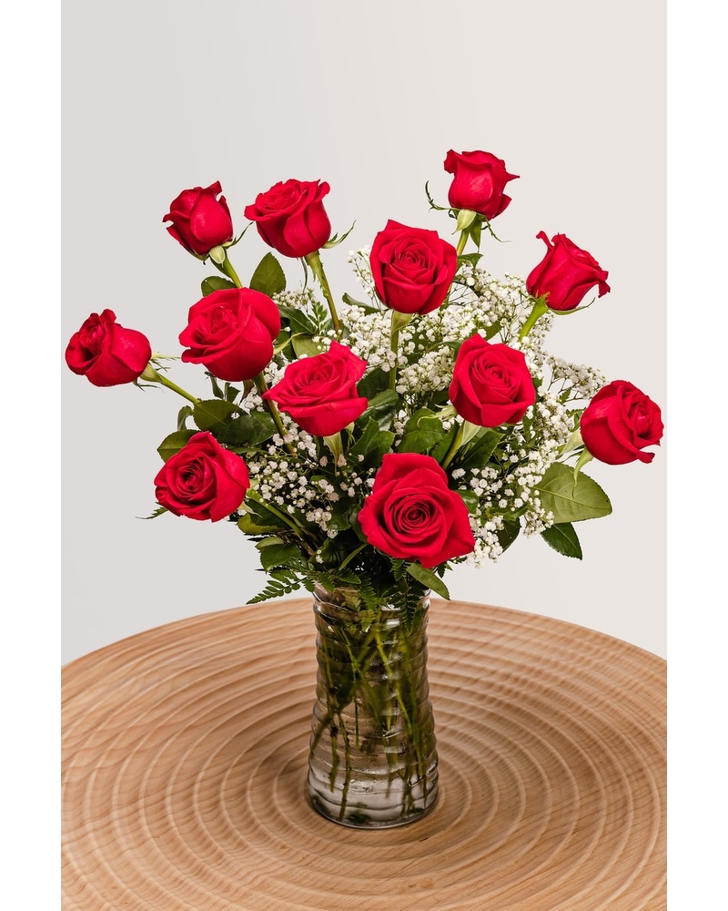 One Dozen Grand Red Roses in Tampa FL - Jennie's Flowers
