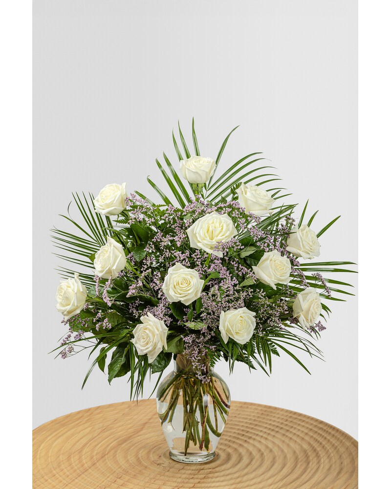 One Dozen Ultimate White Roses in Tampa FL - Jennie's Flowers