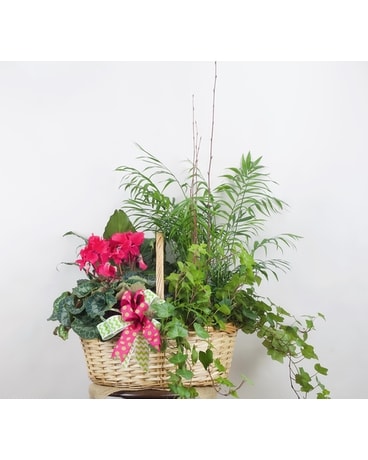 European Garden One Blooming Flower Arrangement