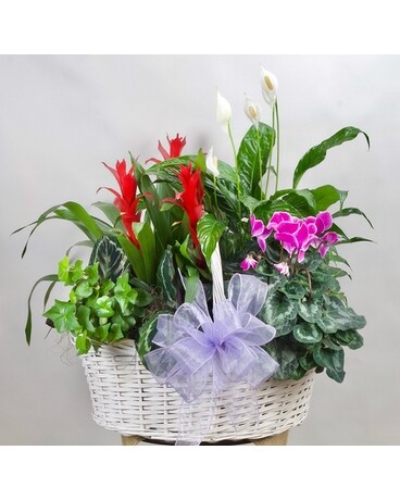 Blooming European Garden Flower Arrangement