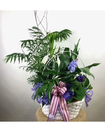 Double European Garden Flower Arrangement