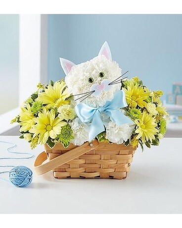 Fabulous Feline Boy or Girl Flower Arrangement