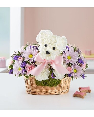 It’s a-DOG-able Girl or Boy Flower Arrangement