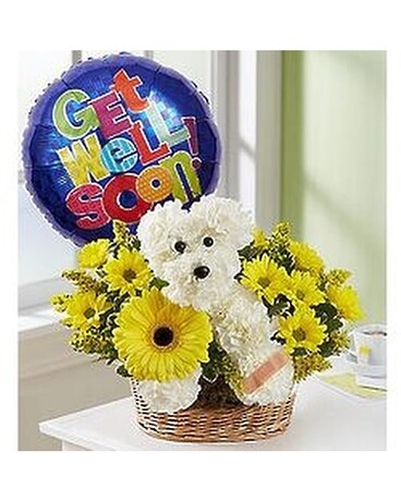 Sick As a Dog Flower Arrangement