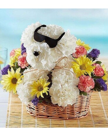 Cool Pup Flower Arrangement