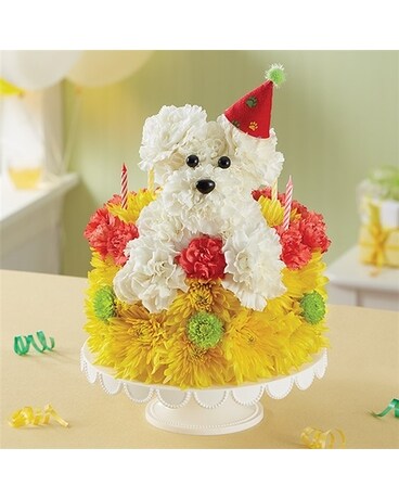 Birthday Wishes Flower Cake™ Pupcake™ Flower Arrangement