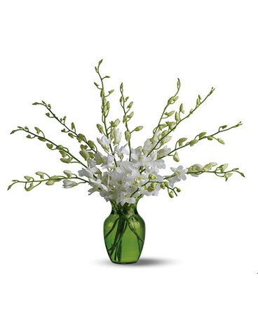 Orchid Oppulence Bouquet Flower Arrangement
