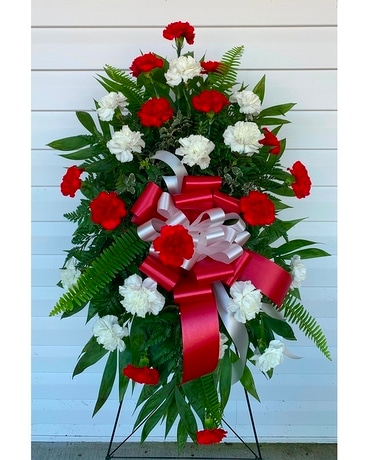 Red & White Carnation Spray Corsage