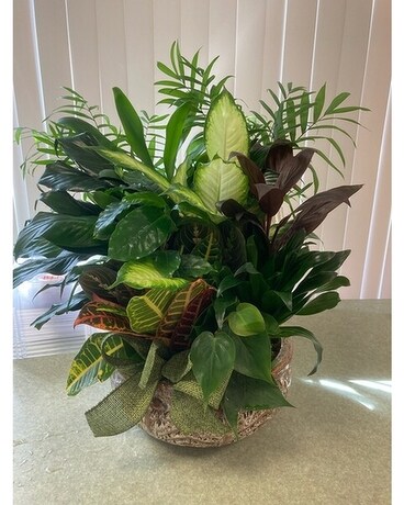 Dish Garden Flower Arrangement