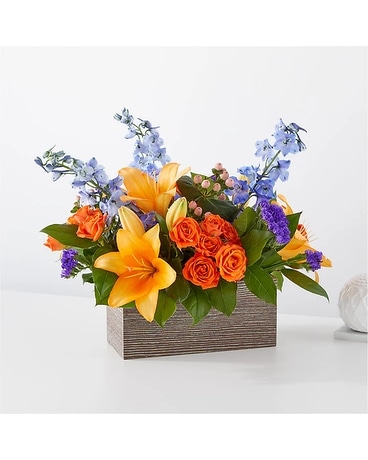 Radiant Citrus Box in Mandan ND - Hirsch Floral