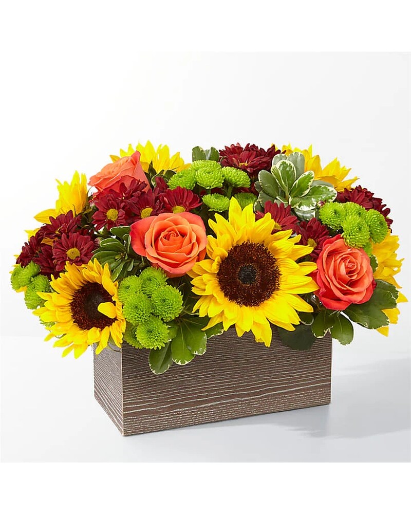 ftd happy harvest garden in Mandan ND - Hirsch Floral ftd happy harvest garden in Mandan ND - Hirsch Floral