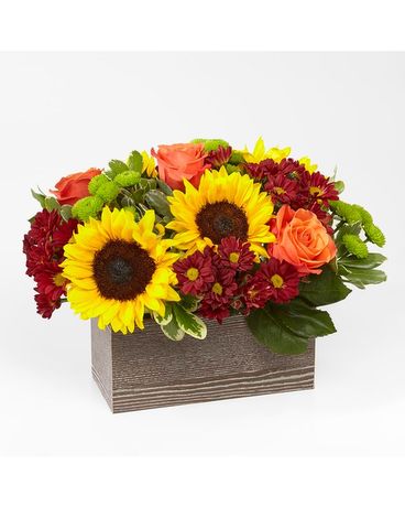 Happy Harvest Garden Flower Arrangement