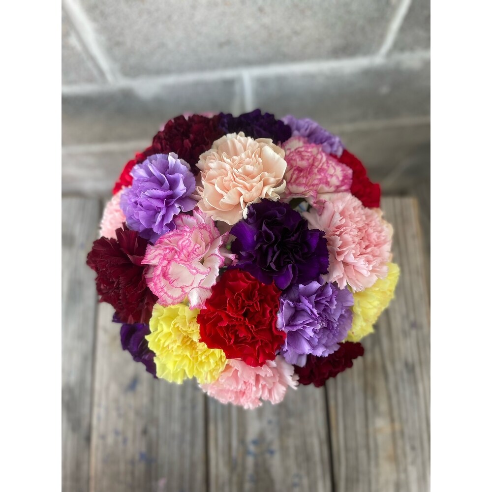 Colorful Carnation Bouquet | Delivered For Free