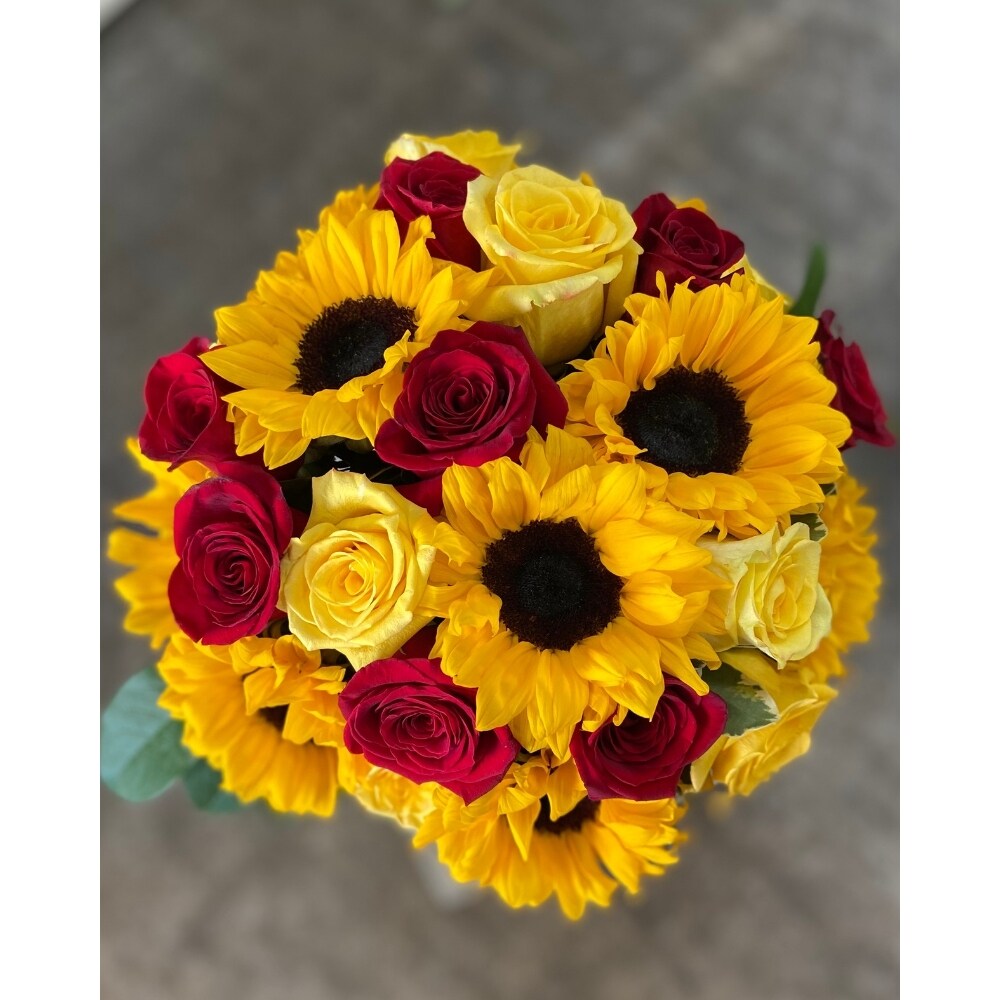 Sunflower Cube with Red Roses