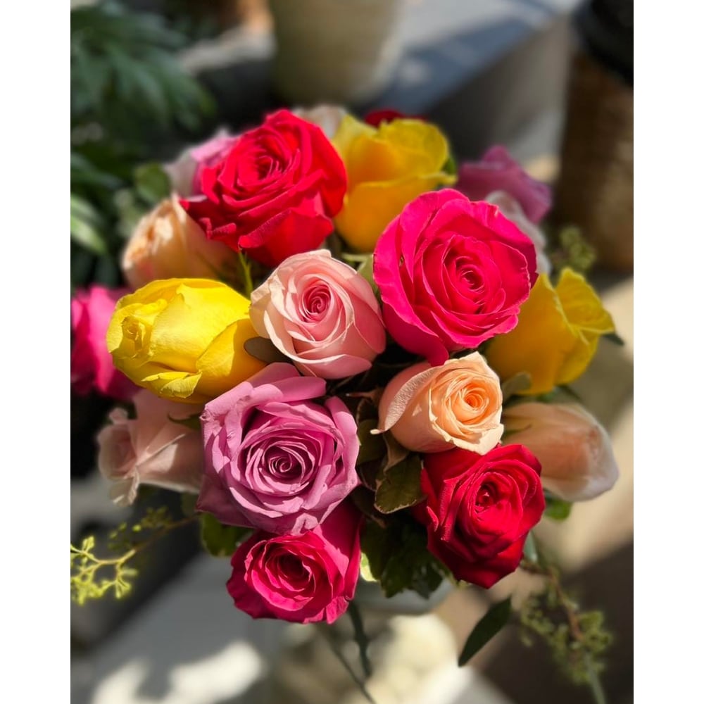roseページ Rose, Drift, Peach #2 – Greenwood Creek Nursery