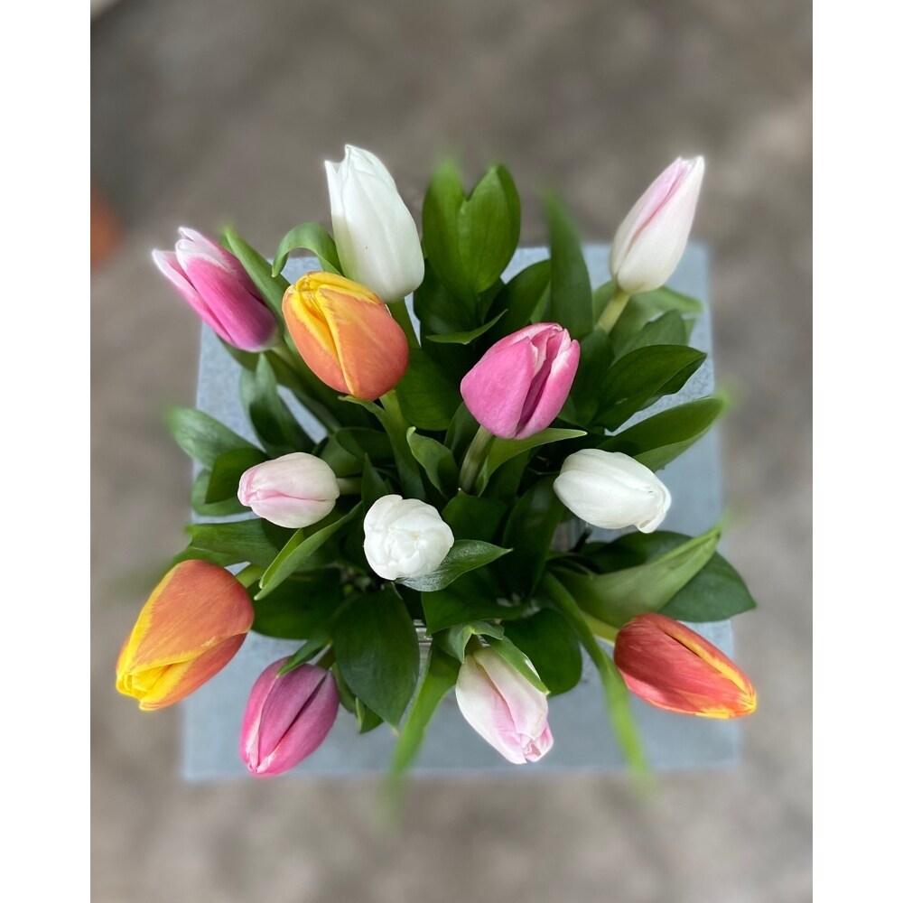 Tulip Bouquet