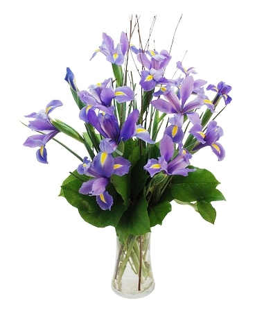 Iris in Bloom Flower Arrangement