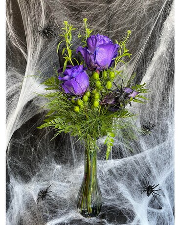 Witches Brew Halloween Bouquet Specialty Arrangement