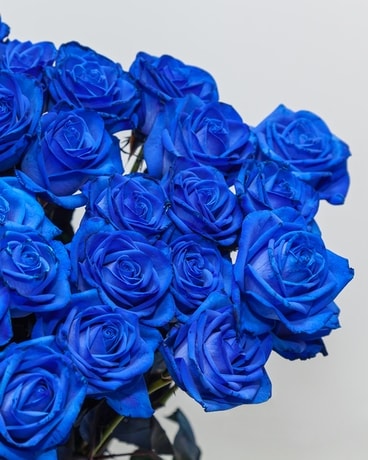 Blue Roses Flower Arrangement
