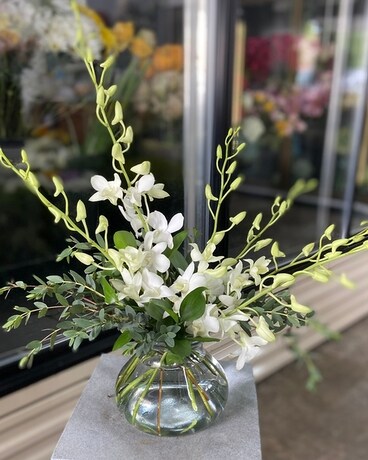 White Orchid Delight Flower Arrangement
