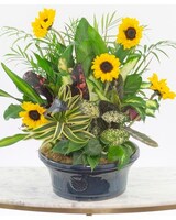 Standard - 12" size,  inches height and  inches wide.
