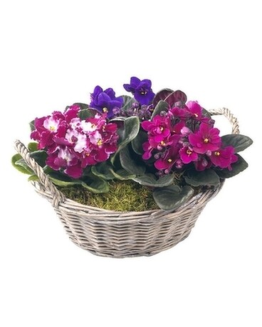 Violet Garden Flower Arrangement