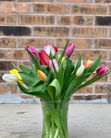 Deluxe size,  inches height and  inches wide.