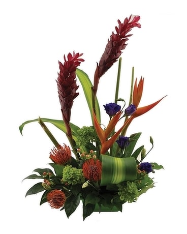 Tropical Paradise Flower Arrangement
