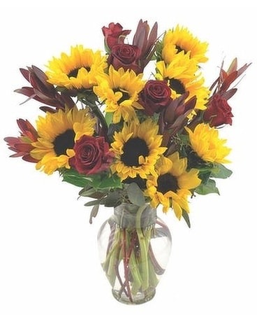 Safari Sunset Flower Arrangement
