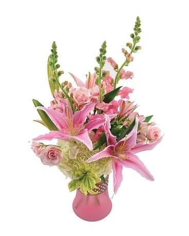 Precious Baby Girl In Virginia Beach Va Norfolk Florist