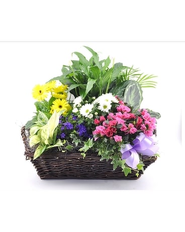 European Garden Grande Flower Arrangement