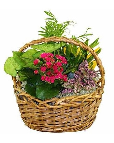 European Garden Flower Arrangement