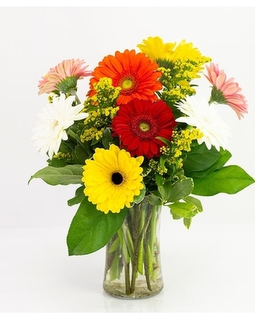 Just Daisy Flower Arrangement