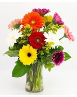 Deluxe size,  inches height and  inches wide.