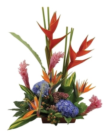 Island Breeze Flower Arrangement