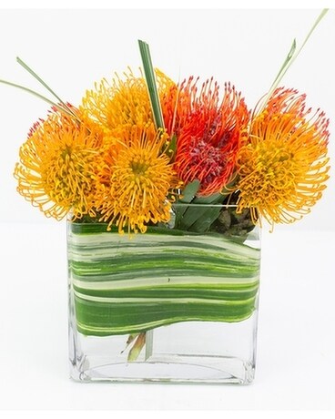 Honolulu Pin Cushions Flower Arrangement