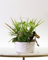 8in Wicker Basket size,  inches height and  inches wide.