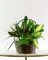 12in Wicker Basket size,  inches height and  inches wide.