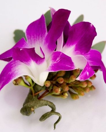 Boutonniere-Orchid, Fuchsia Boutonniere
