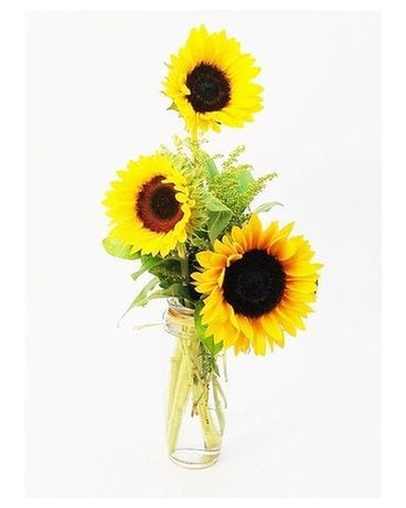 Sassy Sunflowers Flower Arrangement