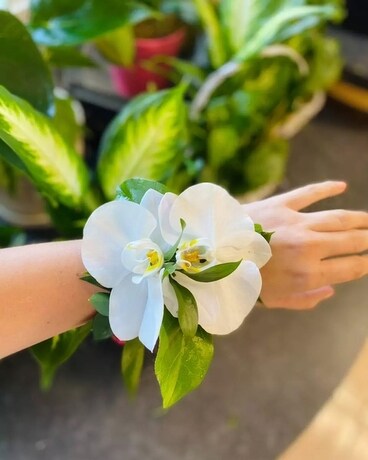 Orchid Corsage Flower Arrangement